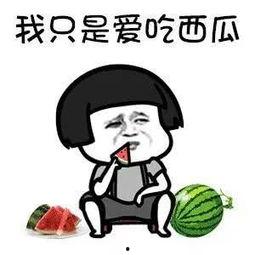 娱乐吃瓜酱不要慌,轻松应对娱乐圈风云变幻